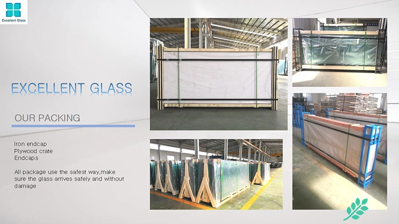8mmtemper Pool Fence Used Laminated Glass Balustrade Glass/Tempered Glass/Float Glass/Painted Glass/Window Glass/Pattern Glass/Mirror Glass/Laminated Mirror