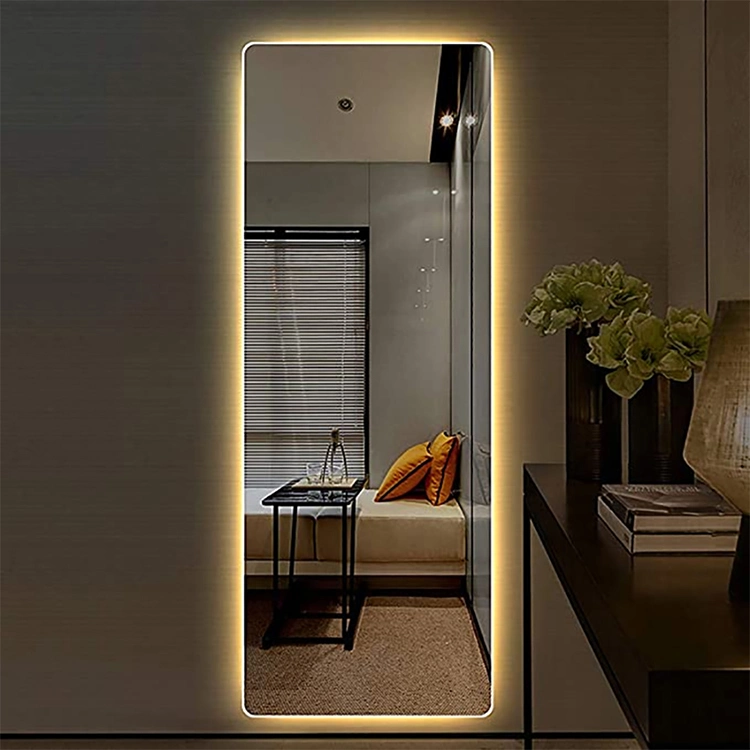 Dressing Room Backlit Lighted Full Length Wall Mount Floor Mirror with LED Lighting