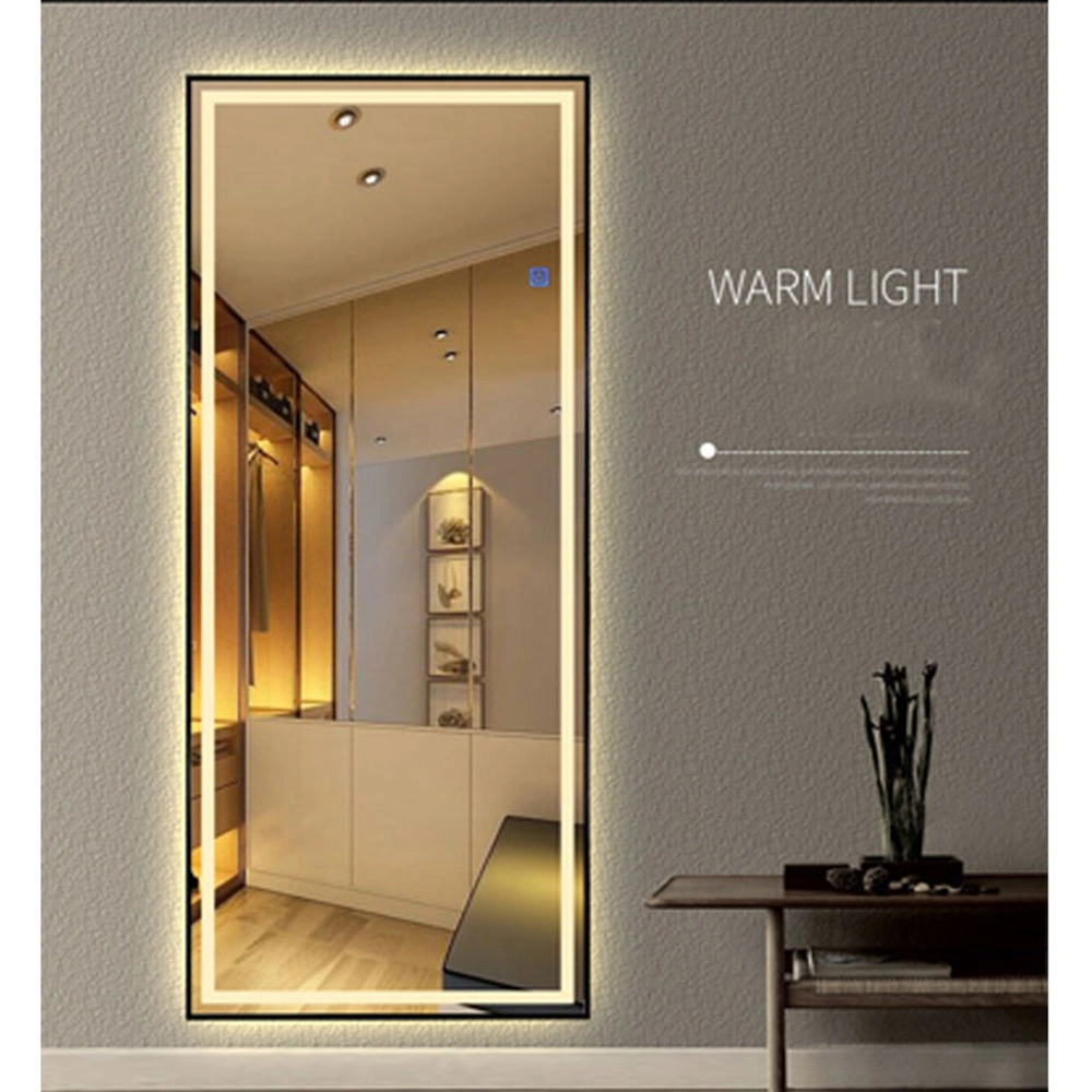 LED Wall Styling Carved Home Hotel Room Floor Full Length Dressing Mirror