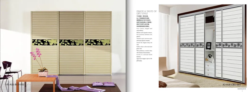 Modular Closet for Modern Design Bedroom Furniture (Br-28-C)