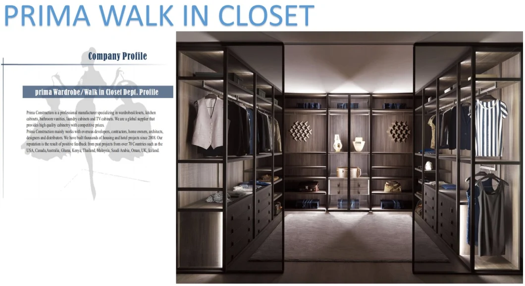 New Type Design Walk Wardrobe Cabinets Built in Closet