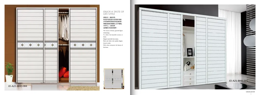 Modular Closet for Modern Design Bedroom Furniture (Br-28-C)