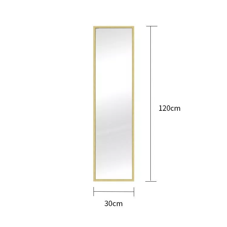 Hanging Illuminated Mirror Floor Shanding Large Tall Full Size Length Mirror with Lights