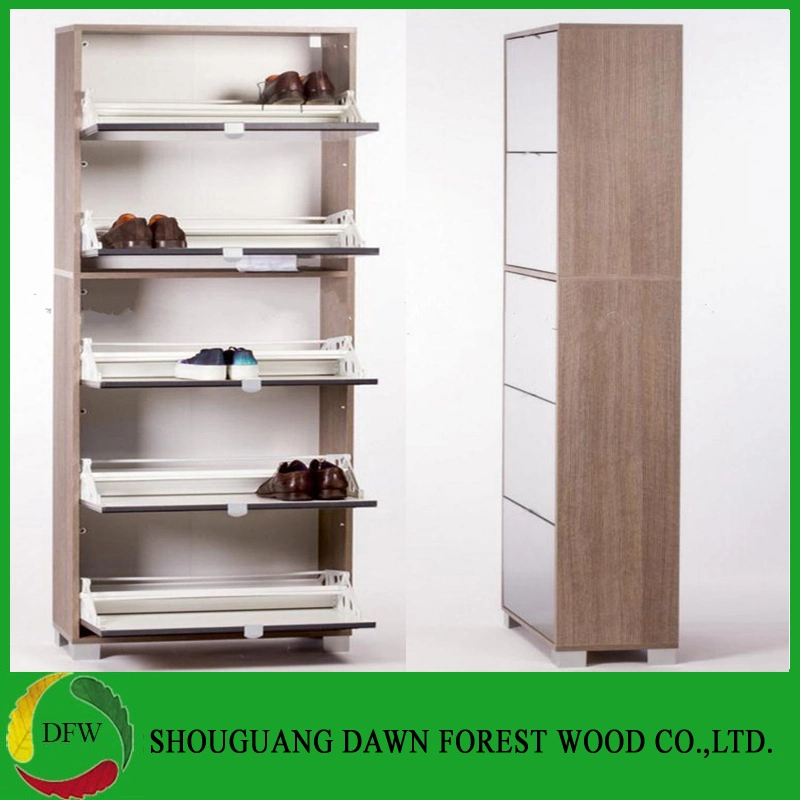 Tall Modern Design Five Doors Melamine Wooden Shoe Cabinet with Mirror