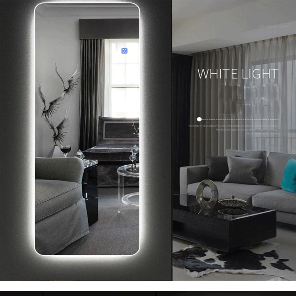 LED Wall Styling Carved Home Hotel Room Floor Full Length Dressing Mirror