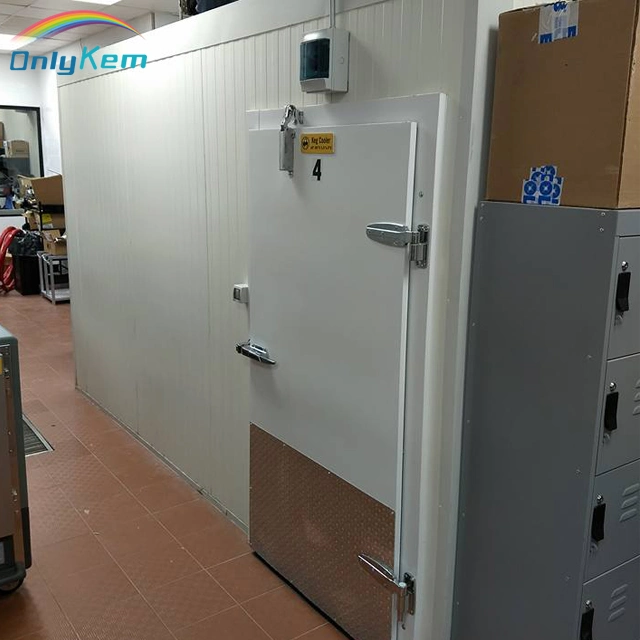 Industrial Freezer Cold Storage Cabinet