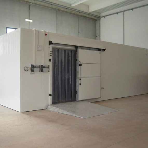 Industrial Freezer Cold Storage Cabinet