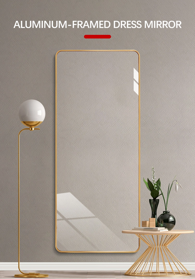 Bolen Big Gold Floor Mirror Body Standing Full Length Mirror Metal Frame Silver Aluminum