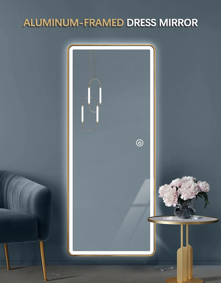 Modern Stylish Intelligent LED Illuminated Standing Tall Dressing Floor Mirror