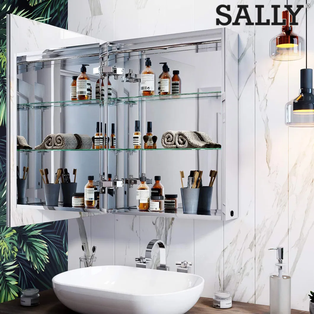 Sally Bathroom Storage Medicine Mirror Cabinet 17X23inch Waterproof LED Mirror