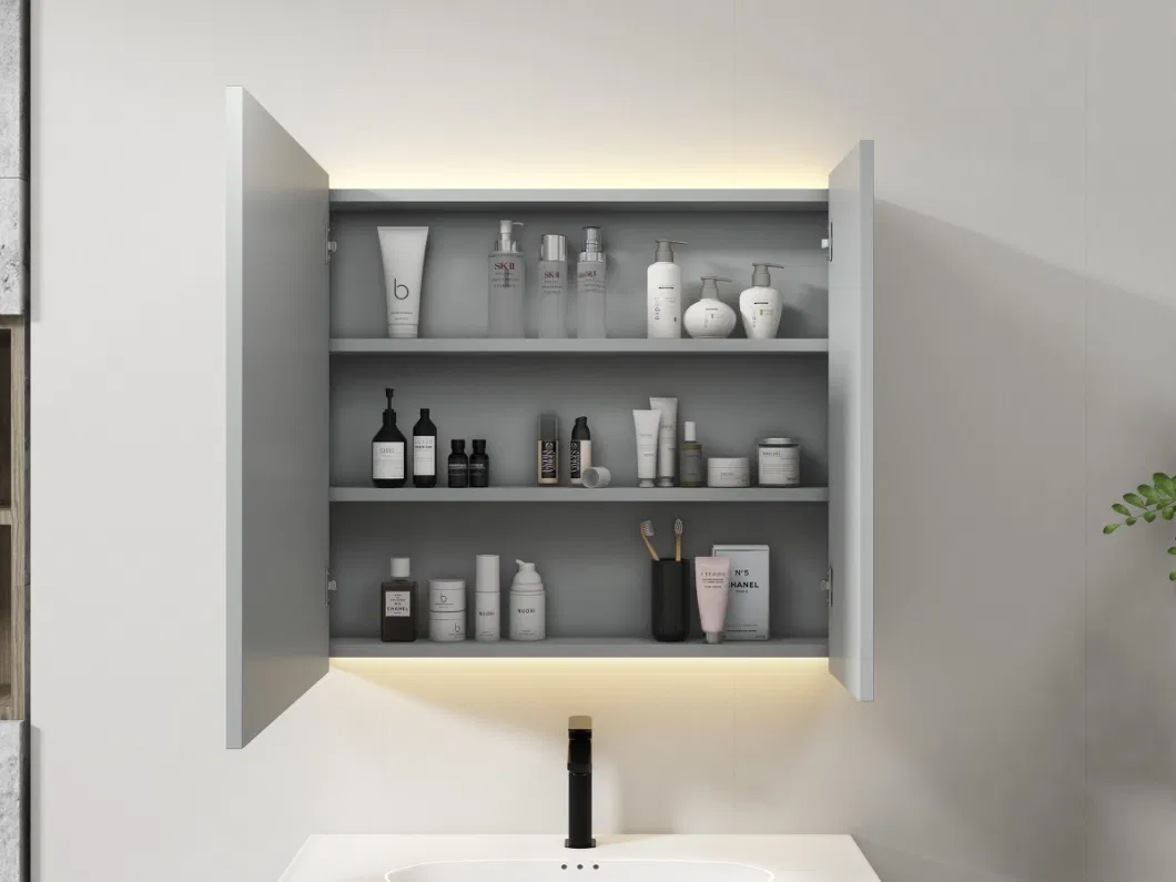 LED Light Mirror Single Vanity Bathroom Hanging Cabinet for Bath Makeup