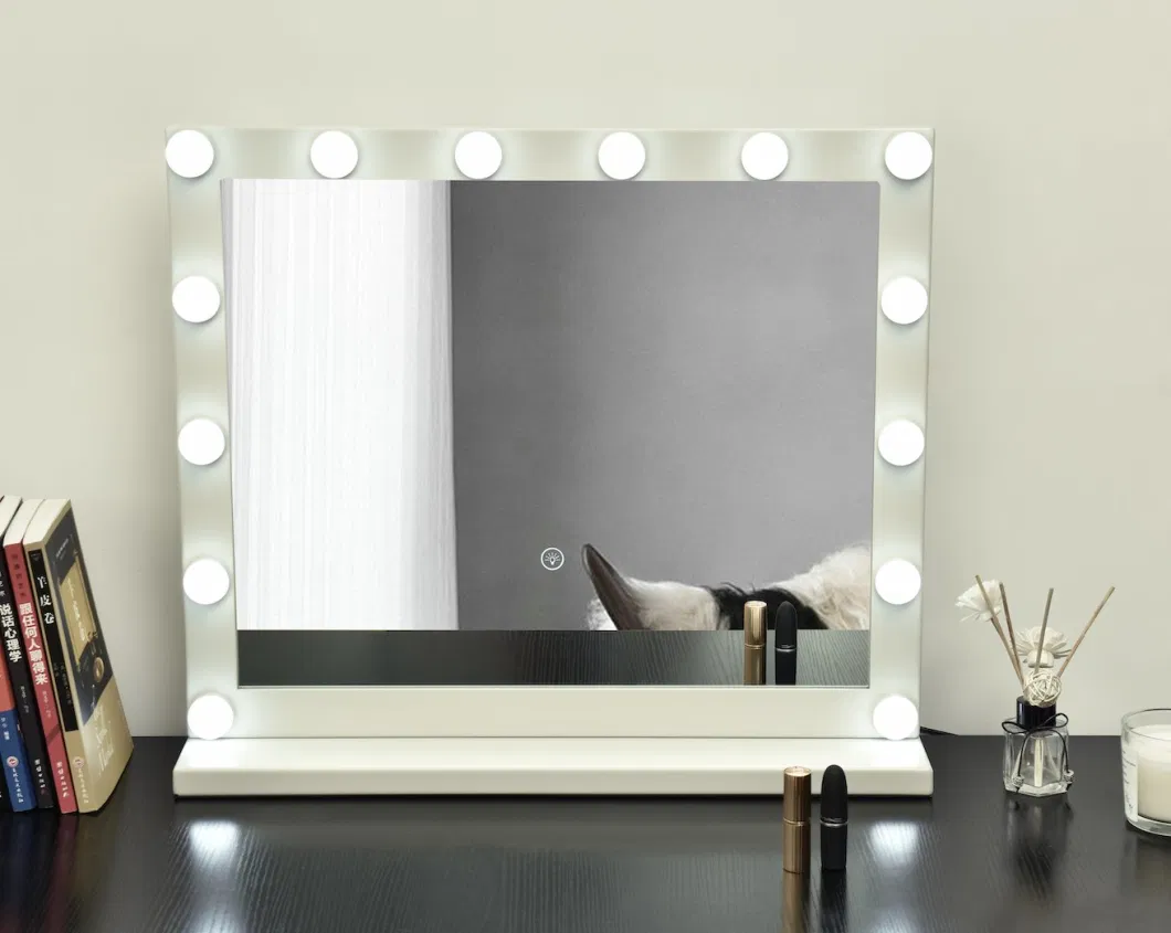 Ortonbath Vanity Table Makeup Hollywood Mirror Dimmable Light Touch Control 12 Cold/ Warm LED Lights, Makeup Organizer Brush Holder