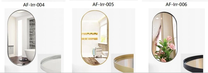 Frame Aluminum Rectangle Rose Golden Black White Standing Floor Mirror