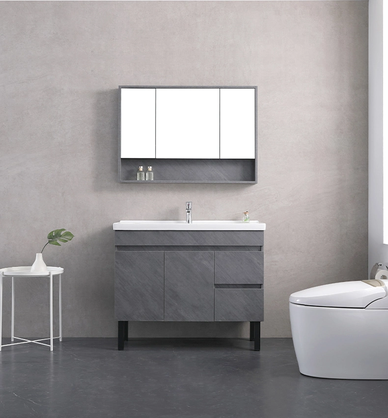 Grey Modern Contracted Floor Style Bathroom Cabinet with Mirror