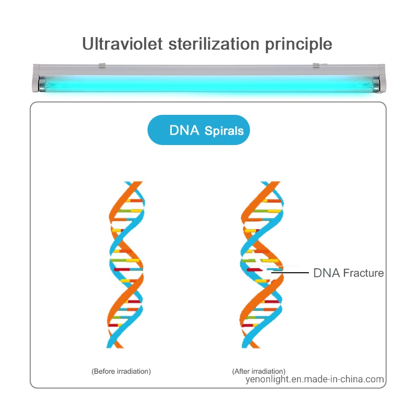 UVC T8 Tube Sterilizer Light Ultraviolet Disinfection Sterilizer