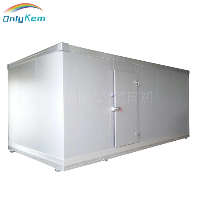 Industrial Freezer Cold Storage Cabinet