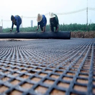 Building Material for Airport Construction with Warp Knitting Geogrid