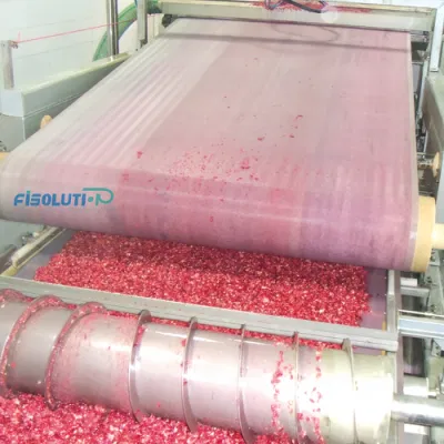 Polyester Conveyor Belt Press Filter Cloth Water Wastewater Treatment Mining Industry