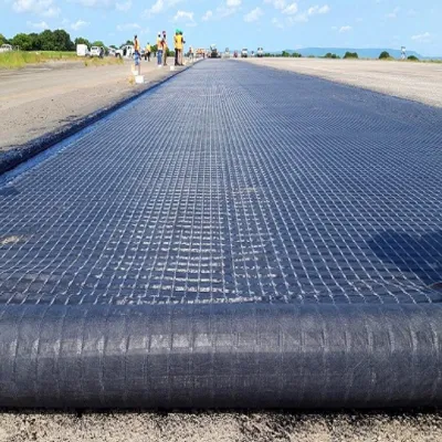 Glass Fiber Fiberglass 30kn/M Geogrid for Road Bed Railway