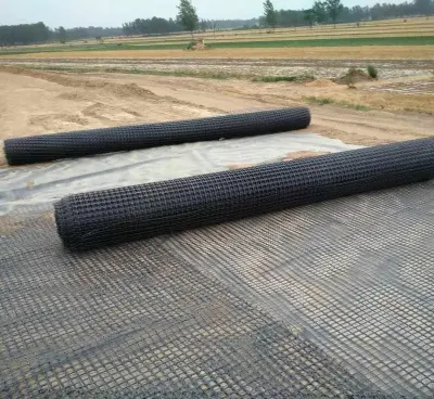 PP Uniaxial Biaxial Triaxial Geogrid Construction Material for Road Construction