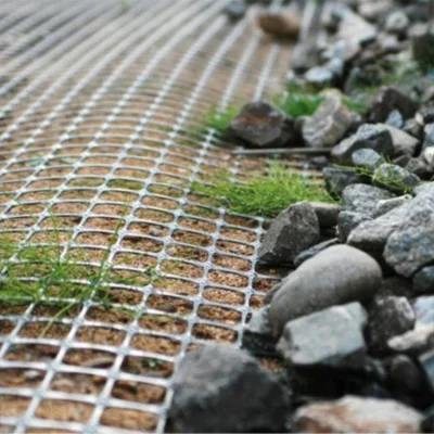 Concrete Grass Pavers30/30kn Plastic Customized Size Specifications and Color Manufacturers PP Biaxial Geogrid Geosynthetics Products