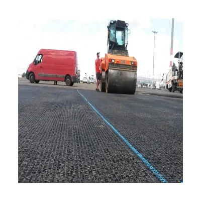 Civil Engineering Glass Fiber Mesh Basalt Reinforcing Fiberglass Geogrid Global Sale