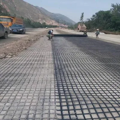 Steel Plastic Construction Materials for Airport with Warp Knitting Geogrid