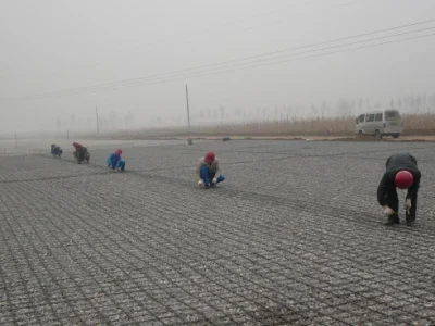 125kn/M Geo Fiber Glass Grid for Reflection of Foundation Cracks