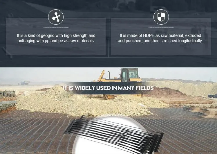 PP Geogrid Plastic Uniaxial Geogrid for Highway Stabilization