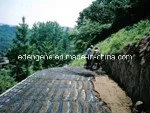 Uniaxial Polyester (PET) Geogrid PVC Coated for Retaining Wall Reinforcement Slope Protection