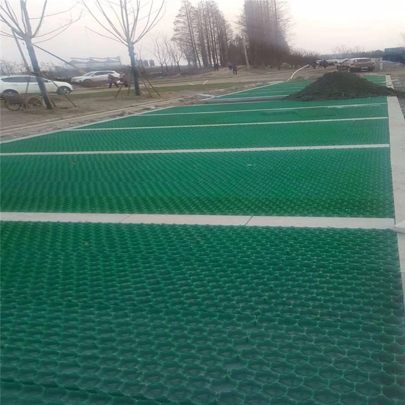 Plastic Paver Lawn Grass Mat for Driveway