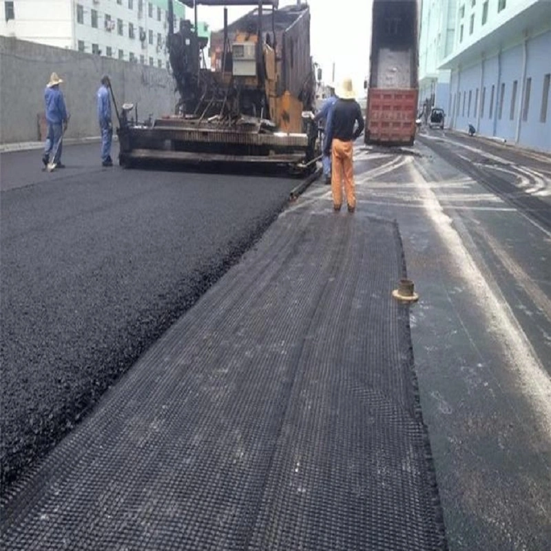 Polyester Bidirectional Geogrid Reinforcement Price Customization Black Road Construction Reinforcement Materials