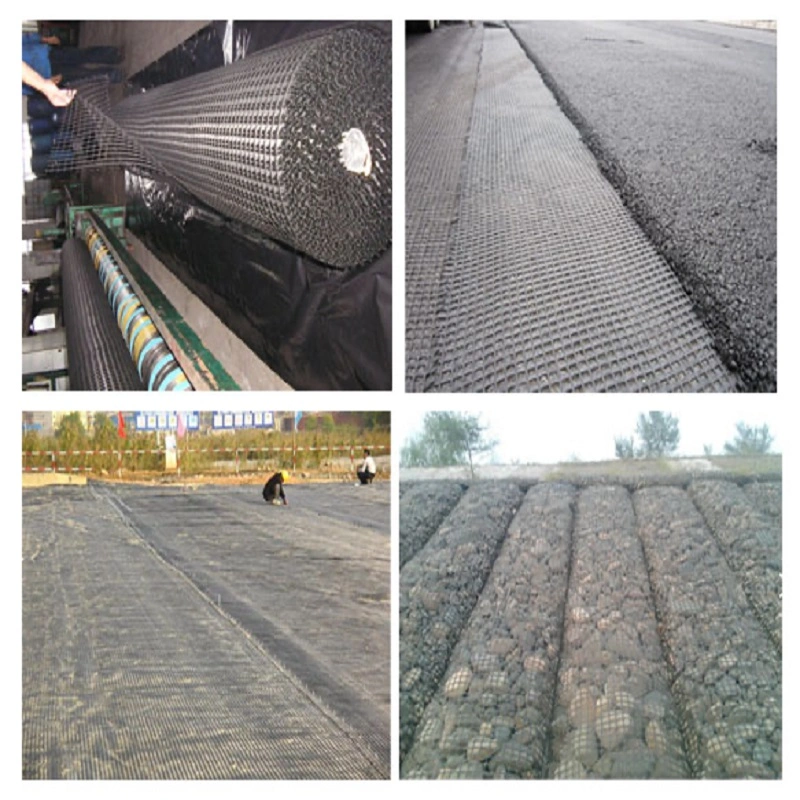 Polyester Bidirectional Geogrid Reinforcement Price Customization Black Road Construction Reinforcement Materials