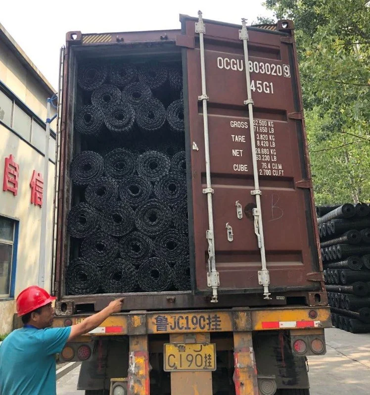 40kn Tensile Strength PP Biaxial Geogrid for Highway Construction