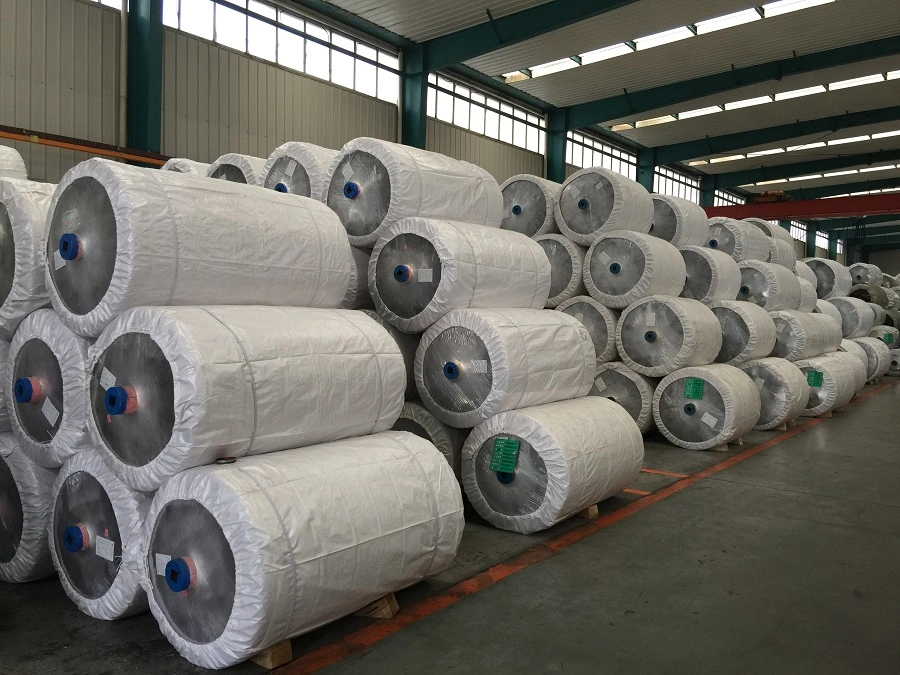 Chinlon CPL Material N6/Nylon6 Industrial Textile/PA6/Polyamide Fiber Dipped Tire Cord Fabric