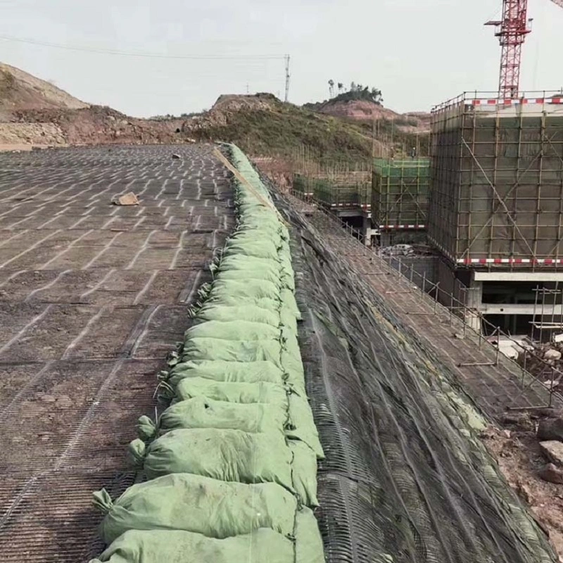 Polyester Bidirectional Geogrid Reinforcement Price Customization Black Road Construction Reinforcement Materials