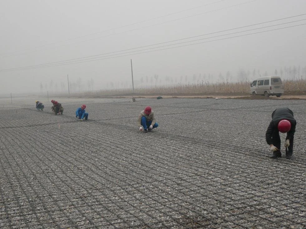 Biaxial Uniaxial Plastic Driveway Gravel Grid Geogrid for Earthwork Road Construction