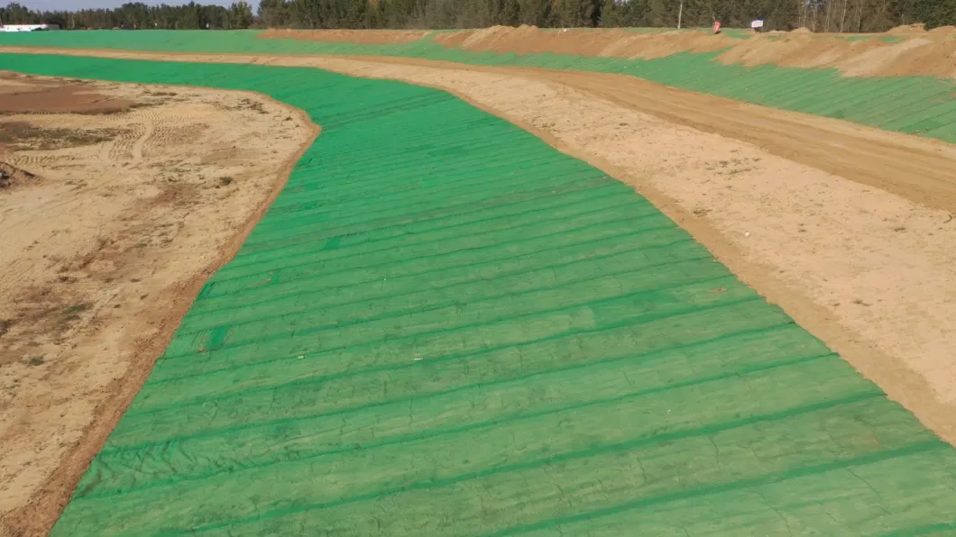 Erosion Control Drainage 3D Geomat Earthwork Product