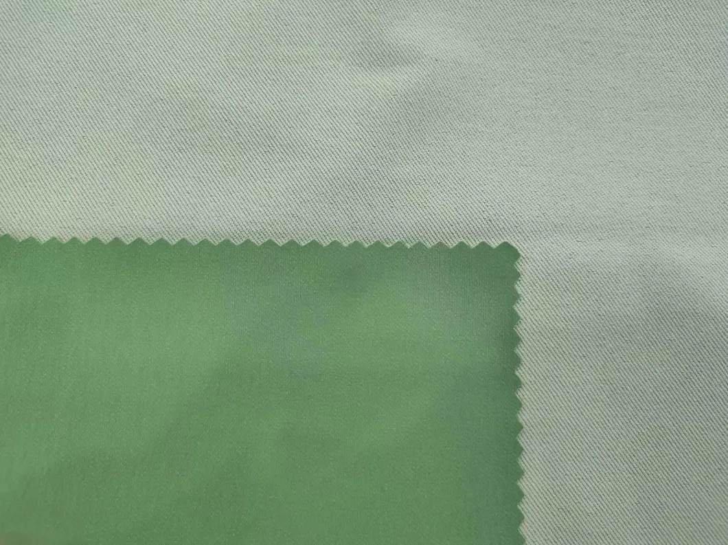 Brocade Polyester Twill Mountaineering Cloth, Dyed