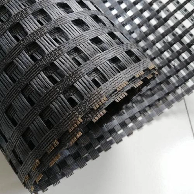 Polyester Bidirectional Geogrid Reinforcement Price Customization Black Road Construction Reinforcement Materials