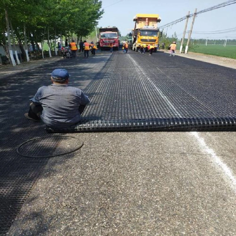 Polyester Bidirectional Geogrid Reinforcement Price Customization Black Road Construction Reinforcement Materials