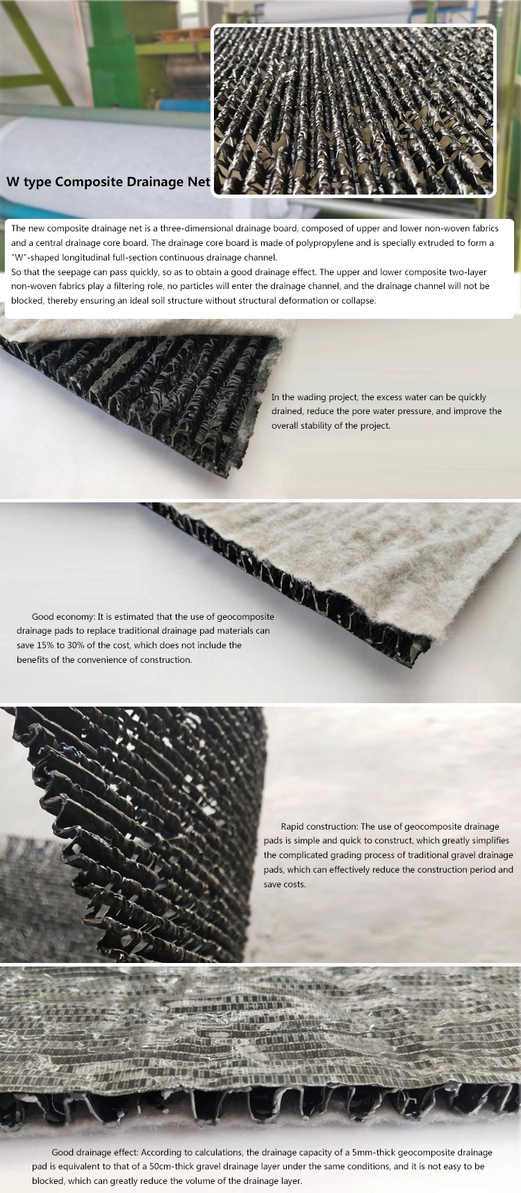 3D Drainage Liner Geonet Geocomposite Drainage Layer HDPE Thickness Landfill