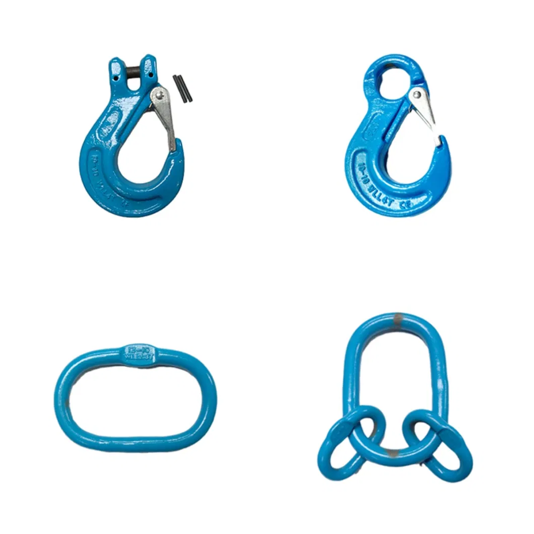 Dnl High Quality OEM Factory Price G80/G100g80 Chain Fittings/Hook