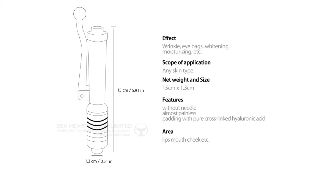 2024 New Hyaluronic Pen! Needle Free Pen Injection Hyaluronic Pen for Lip