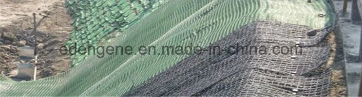 3D HDPE Plastic Filter Mat Three Dimension Drainage Mat for Slope Protection