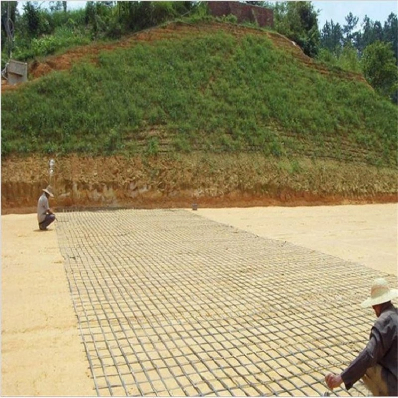 Polyester Bidirectional Geogrid Reinforcement Price Customization Black Road Construction Reinforcement Materials