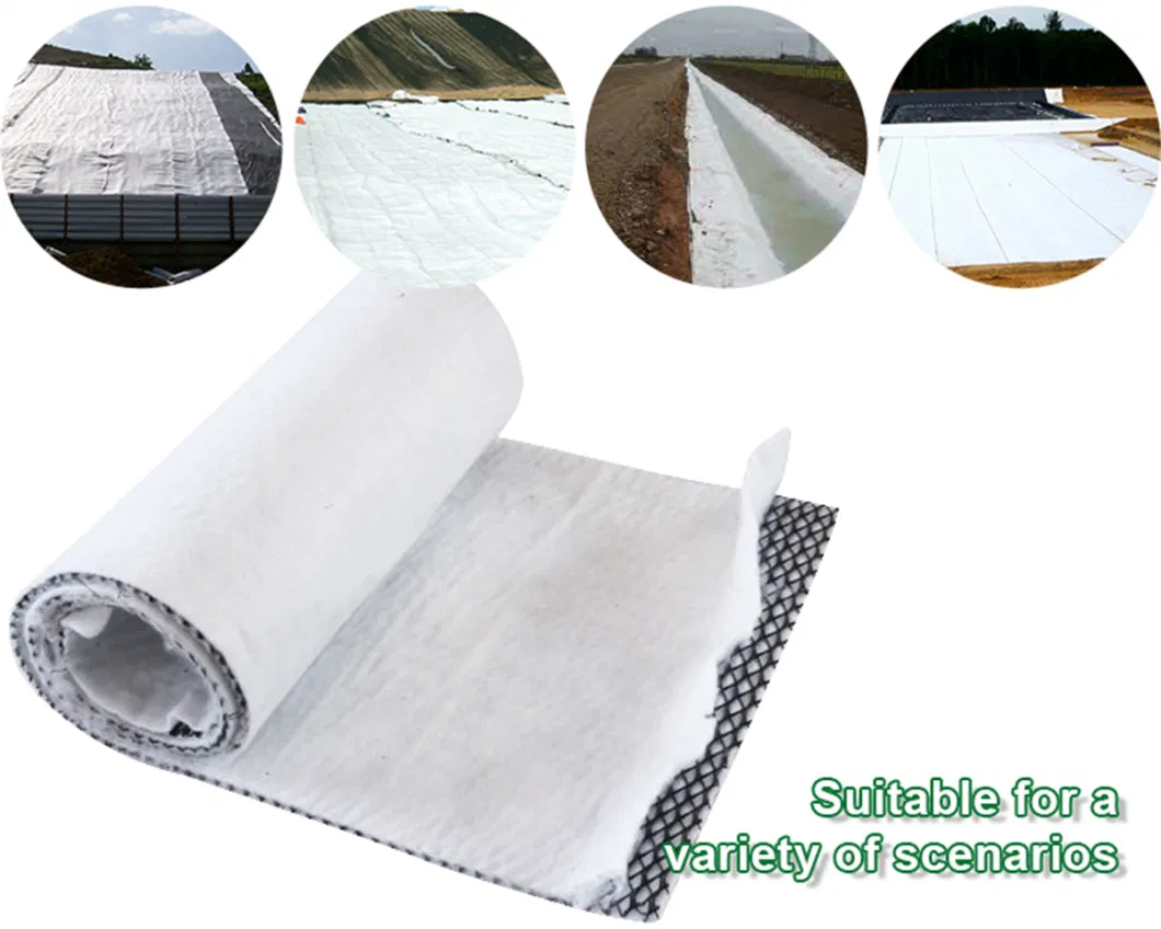 Reinforced Plastic Geocomposite Drainage Mat Geocomposite Geomembrane Geocomposite for Erosion Control Slope Protection