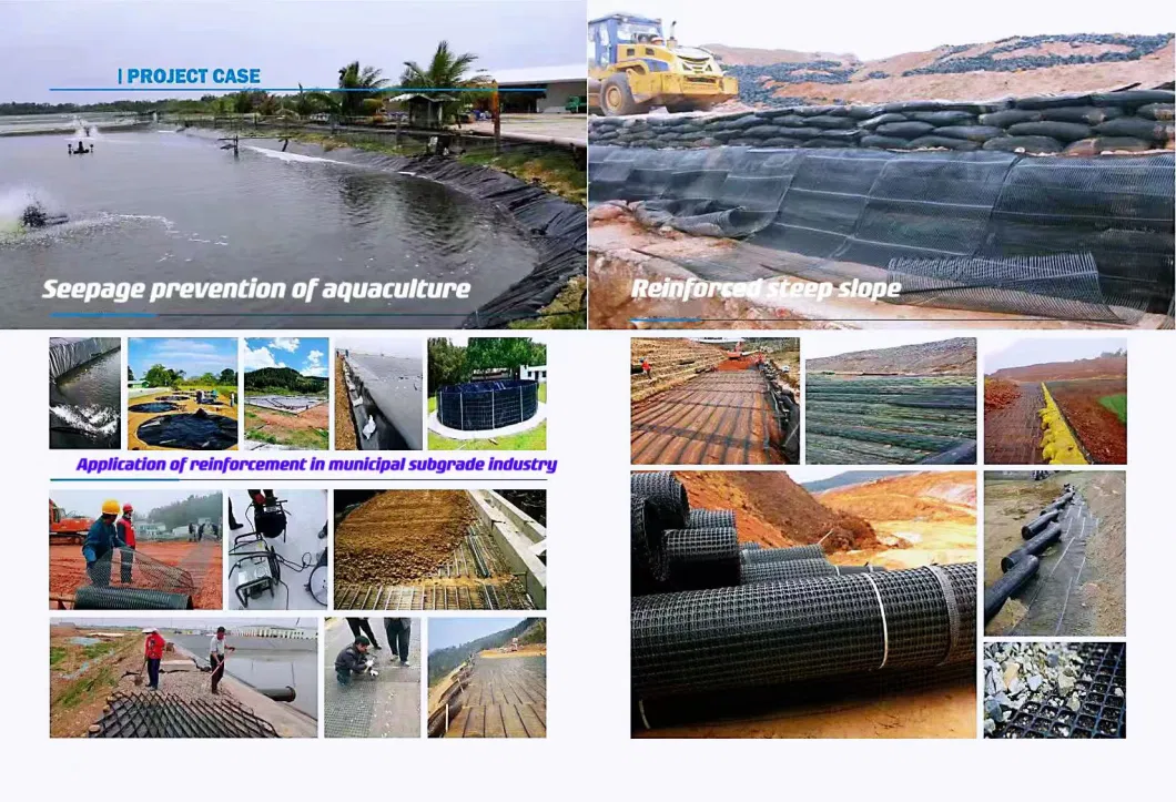 HDPE Geomembrane Pond Liner /Geocomposite/Polyethylene Waterproofing Membrane/Geogrid Road Construction Material