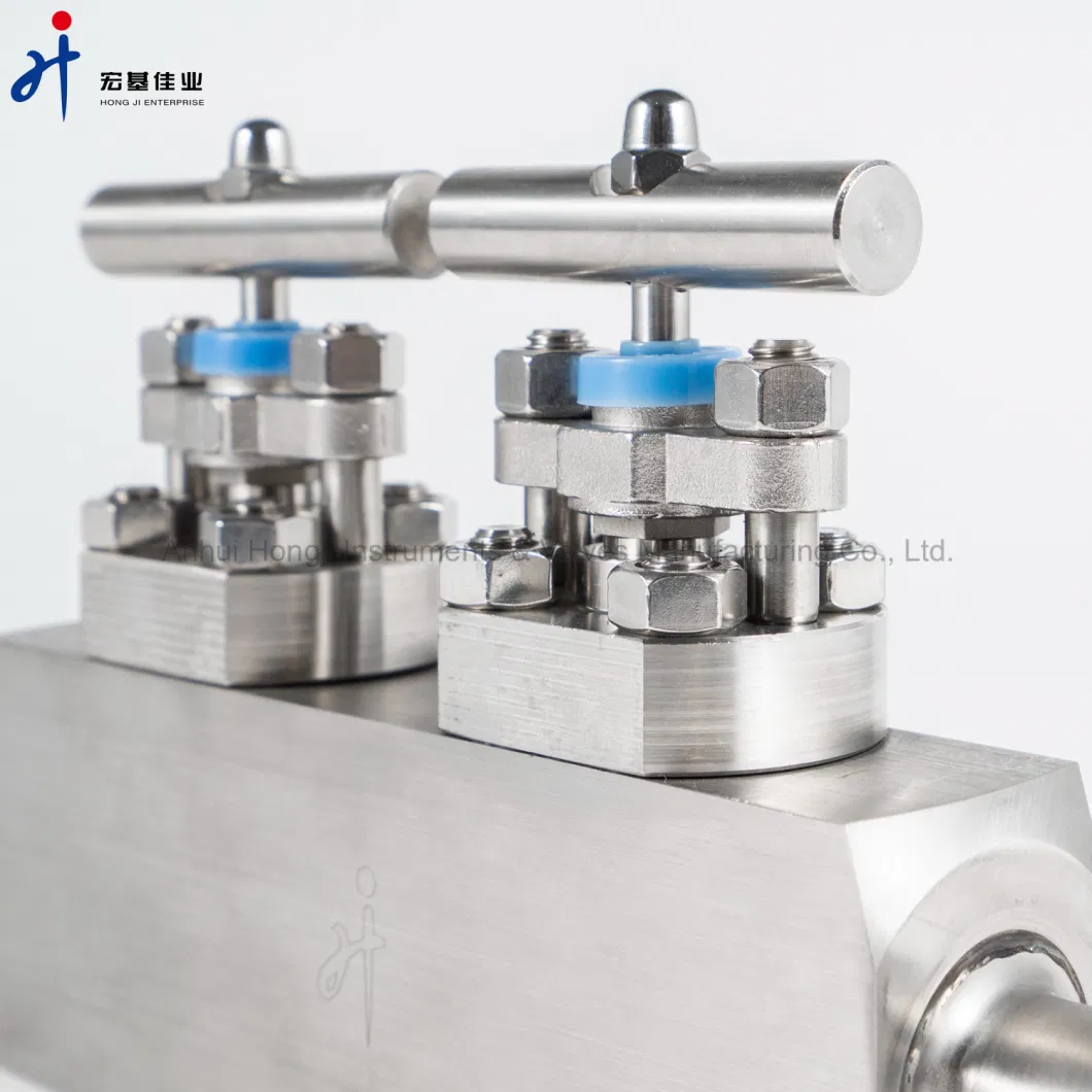 316 Ss Osy Ultra High Pressure Bonneted Isolate Valve Needle Valve Manifold