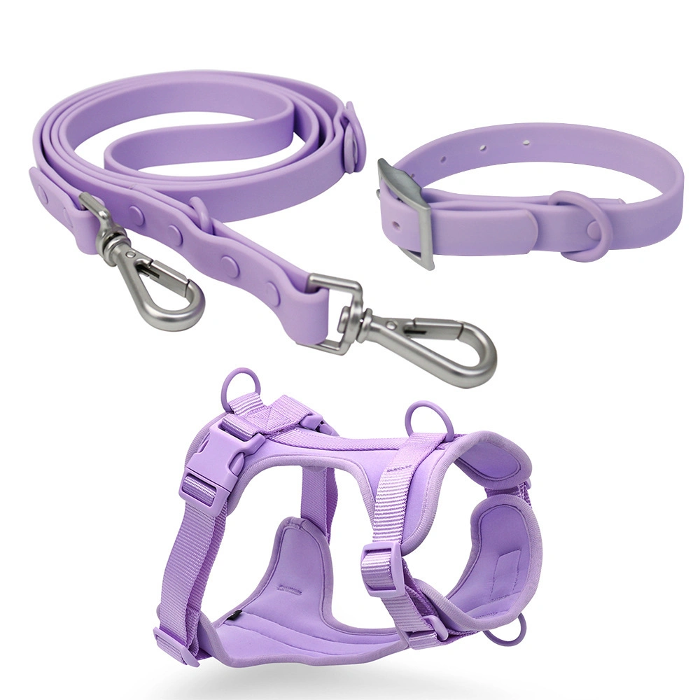 2022 Hot Selling Biothane Waterproof Collar Lead with Metal Hanger